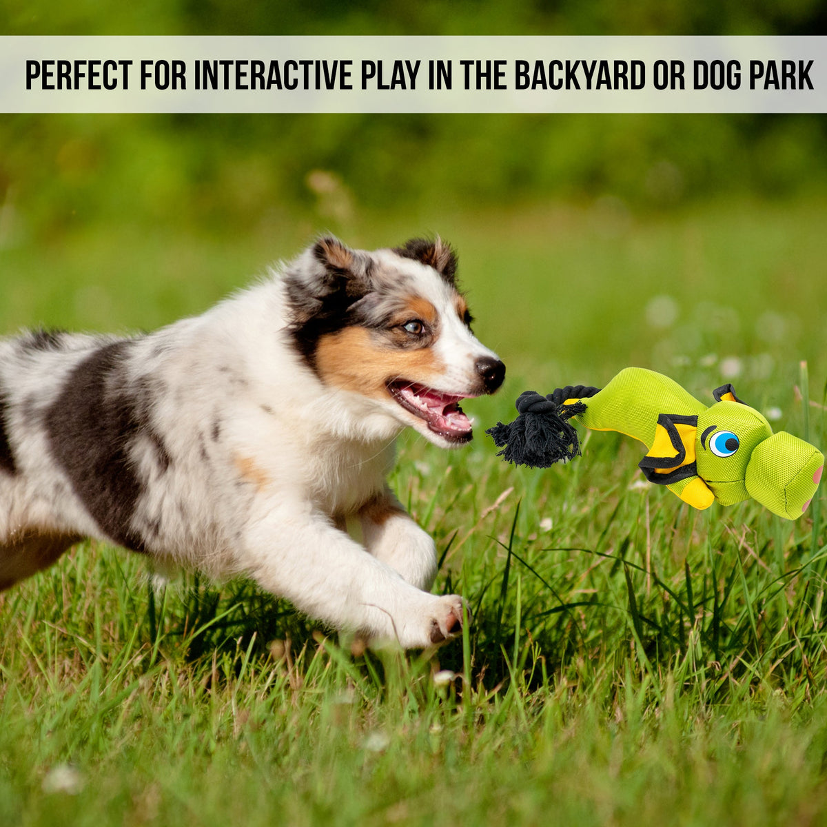Hyper Pet Flying Pig Interactive Dog Toy