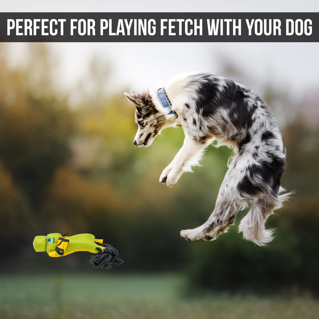 Hyper Pet Flying Pig Interactive Dog Toy