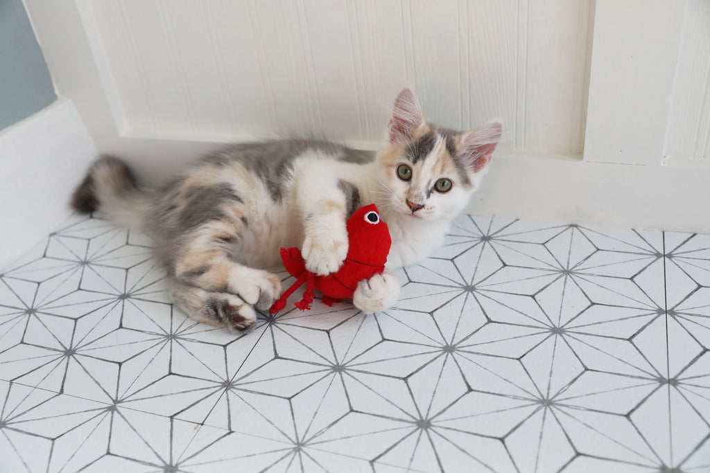 Mad Cat Pouncin' Prawn Catnip & Silvervine Cat Toy