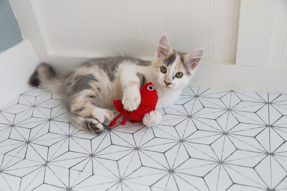 Mad Cat Pouncin' Prawn Catnip & Silvervine Cat Toy