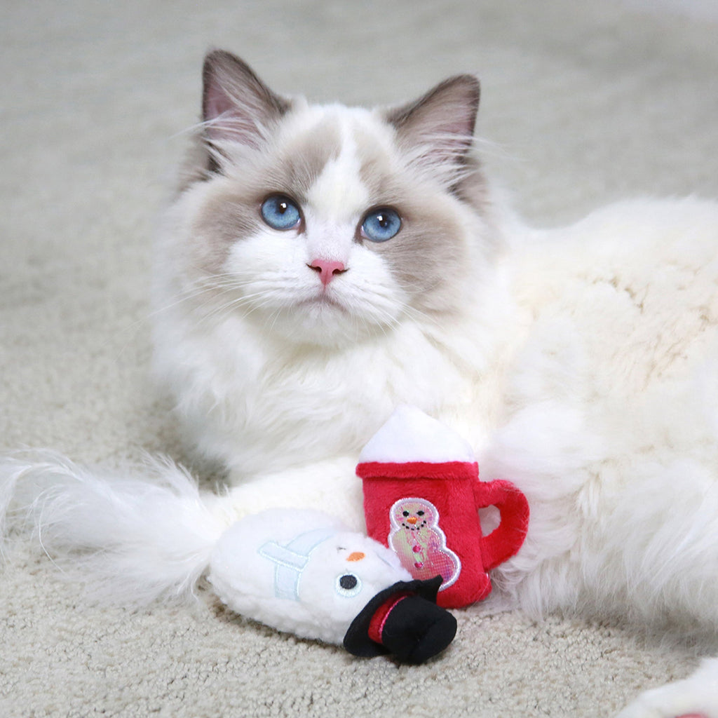 Mad Cat Cool Cocoa Cat Toy