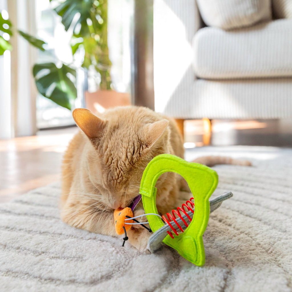 Quirky Kitty Kitty Connects Cat Toy