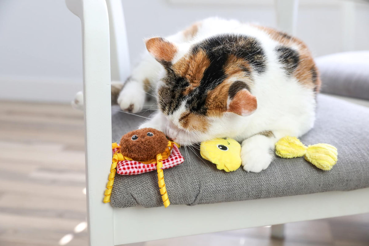 Quirky Kitty Pasta Pals 3-Pack Cat Toy Set with Catnip