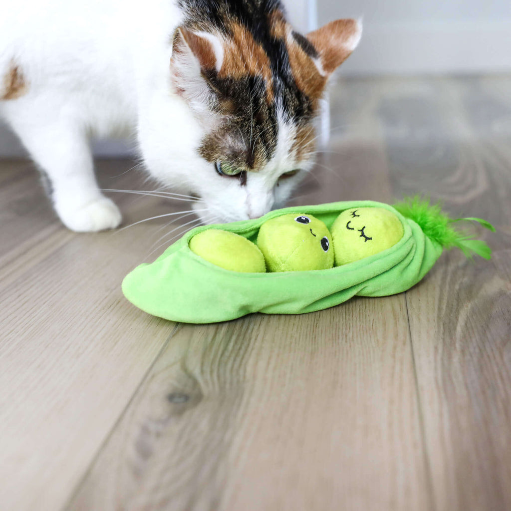 Quirky Kitty Pea Pawd Kicker – Large Catnip Cat Kicker Toy