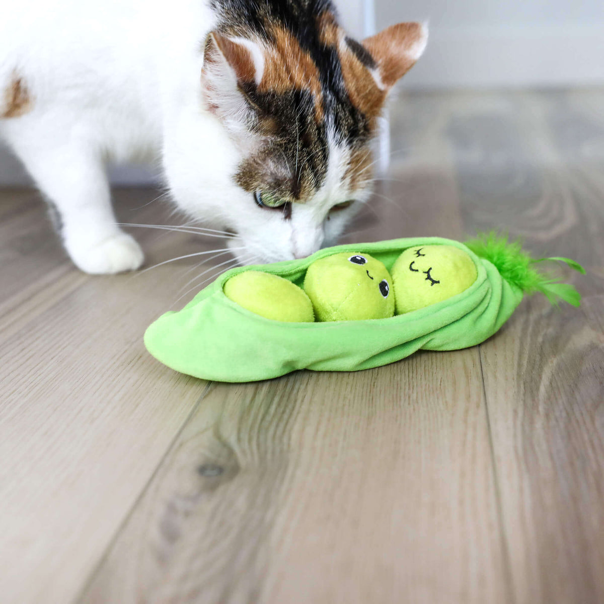 Quirky Kitty Pea Pawd Kicker – Large Catnip Cat Kicker Toy
