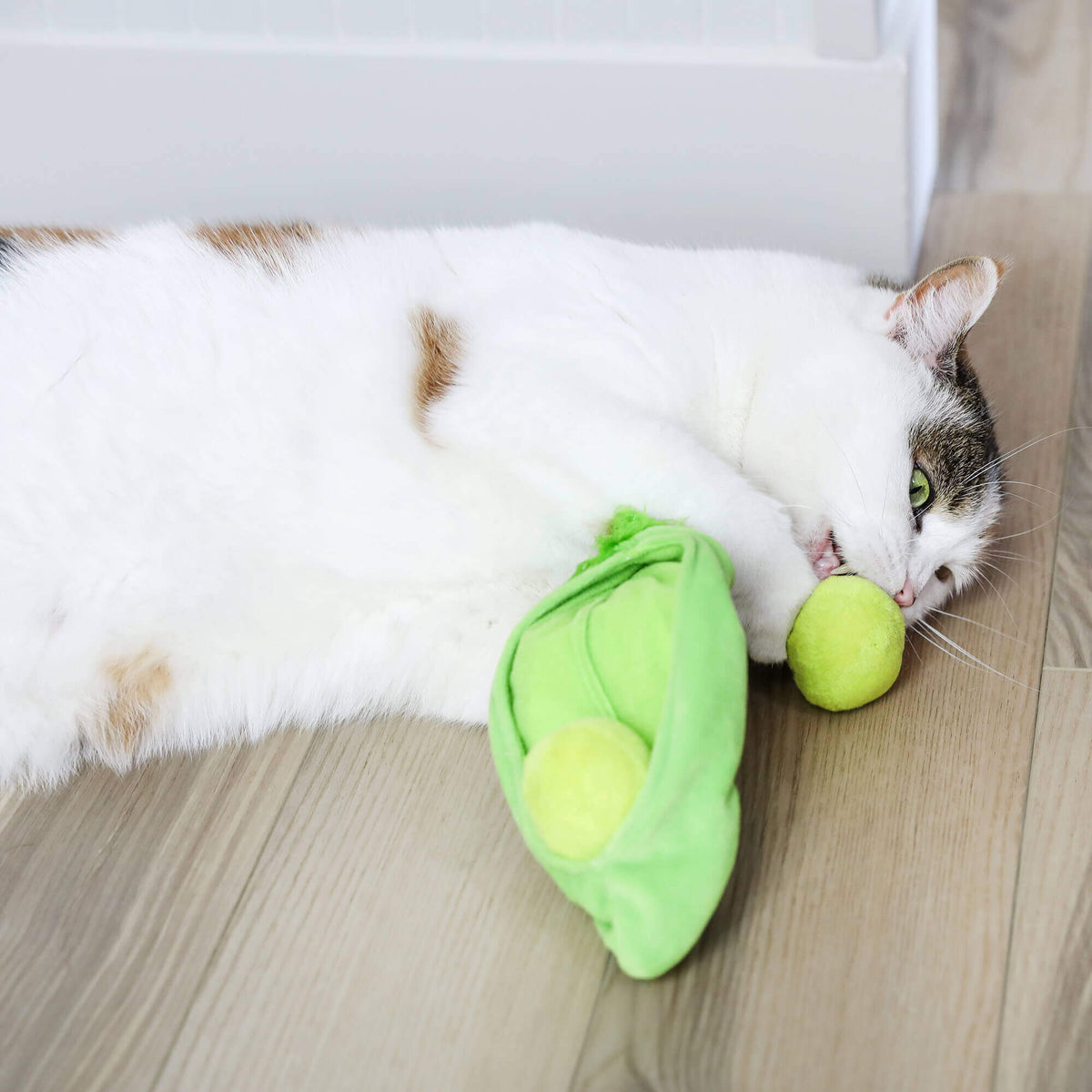 Quirky Kitty Pea Pawd Kicker – Large Catnip Cat Kicker Toy