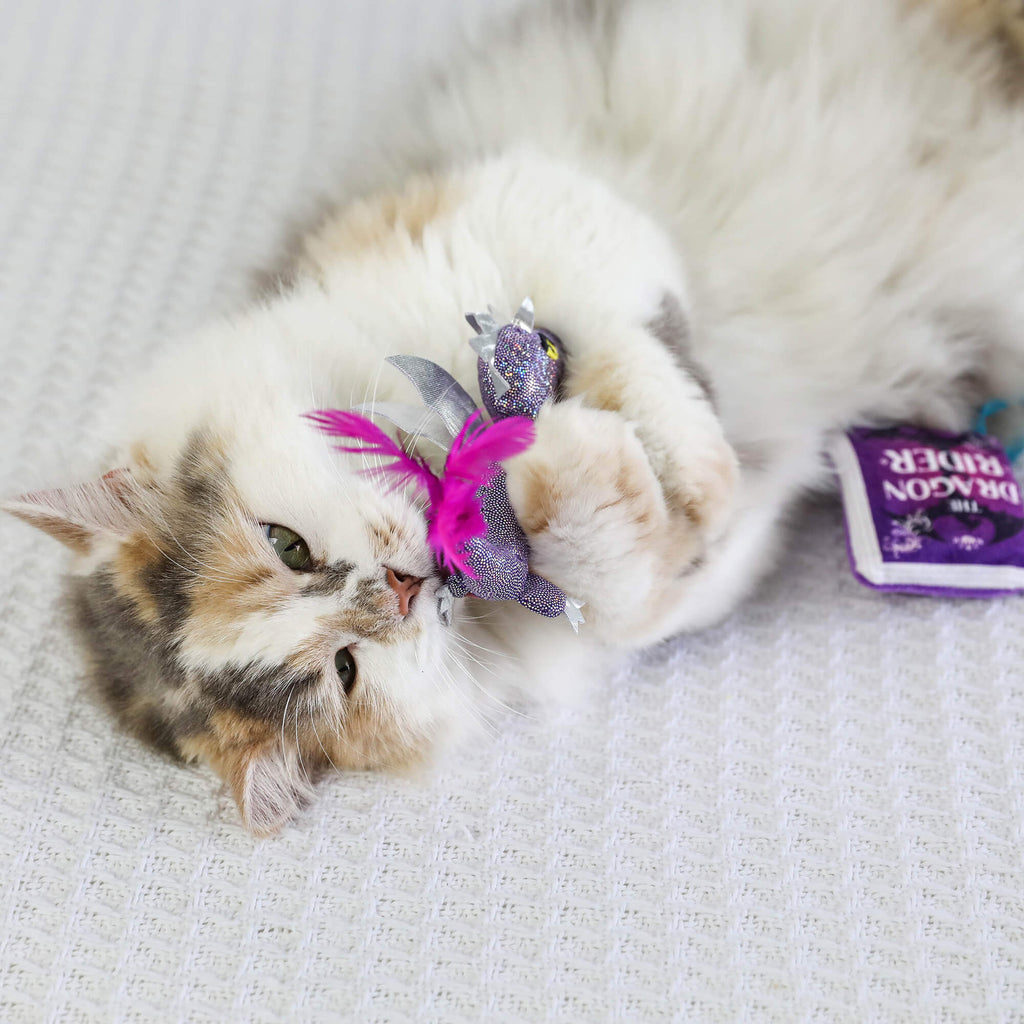 Quirky Kitty Fairy Tail Romance 2pk Cat Toy Set with Catnip