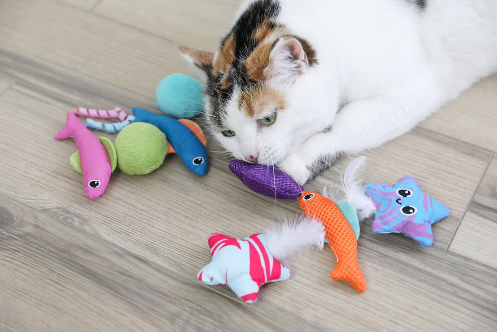 Quirky Kitty Fish Bowl 8pk