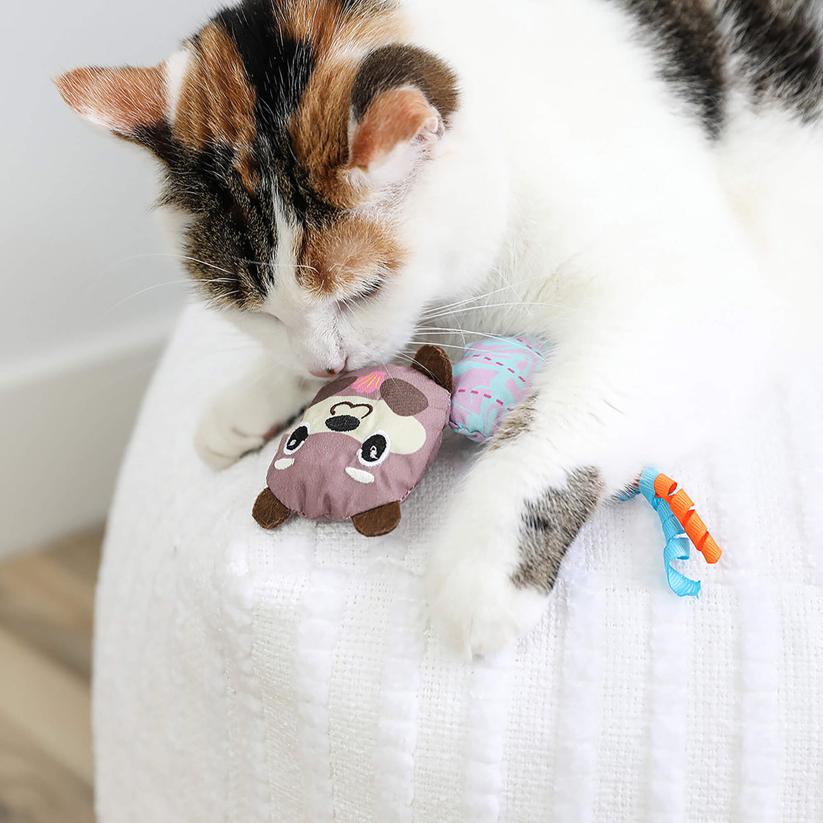 Quirky Kitty Otterly Cool 2-Pack – Ocean-Themed Cooling Cat Toys with Catnip