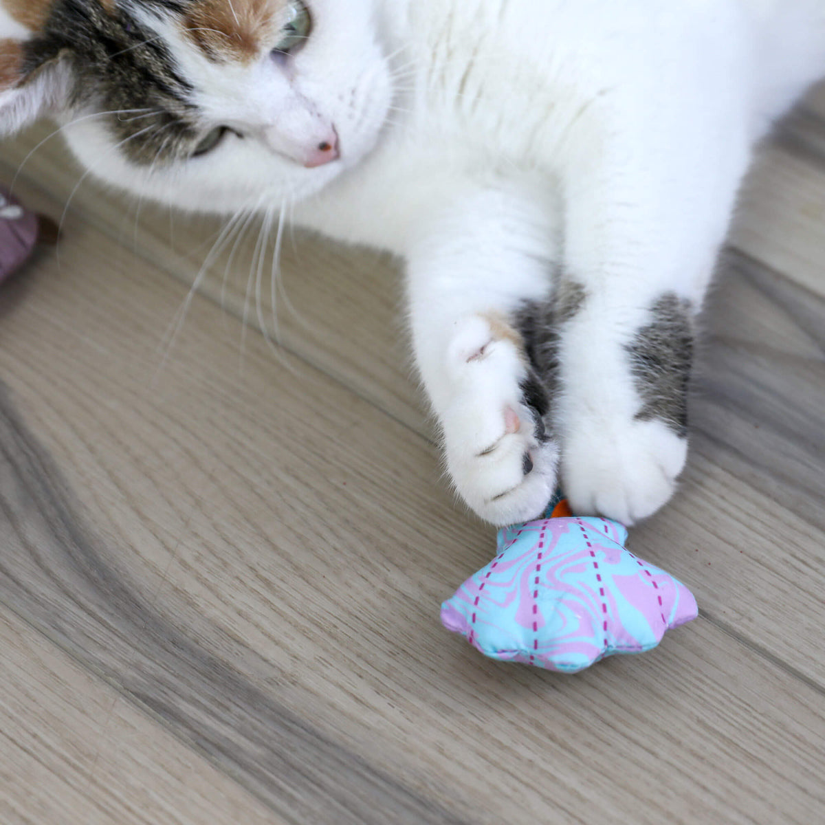 Quirky Kitty Otterly Cool 2-Pack – Ocean-Themed Cooling Cat Toys with Catnip
