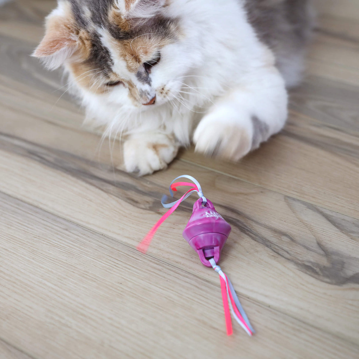 Quirky Kitty Chilly Chasers 2pk – Freeze & Play Cat Toy Set