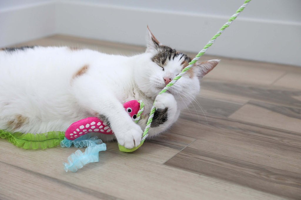 Quirky Kitty Glow Snake Wand – Glowing Forest Cat Toy with Catnip & Silvervine