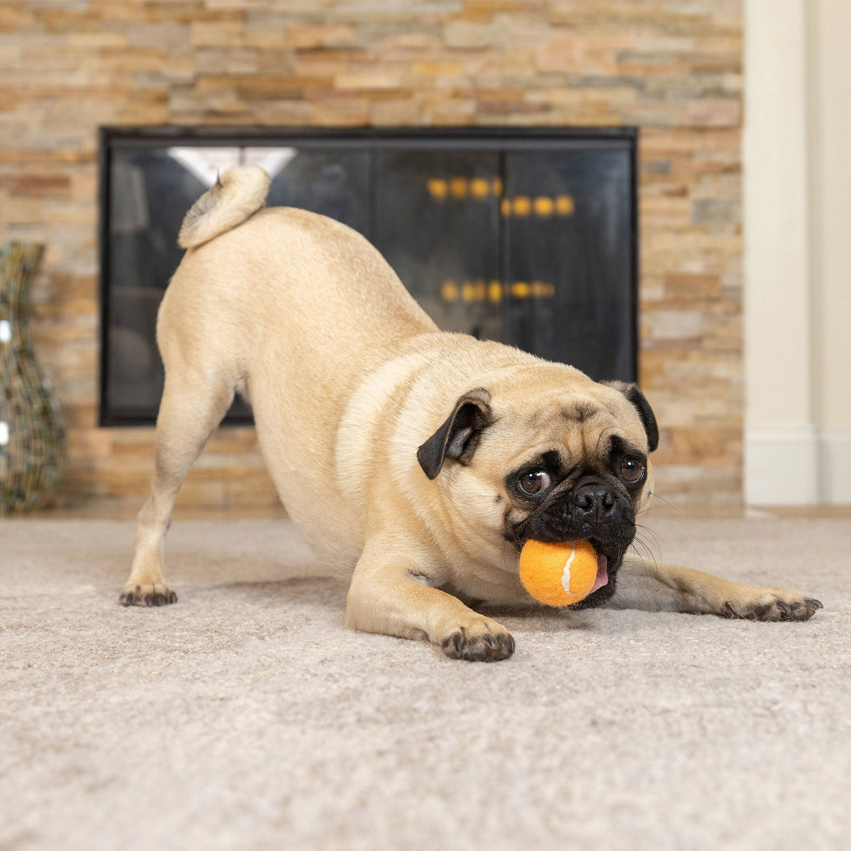 Hyper Pet Mini Orange Tennis Balls 4-Pack