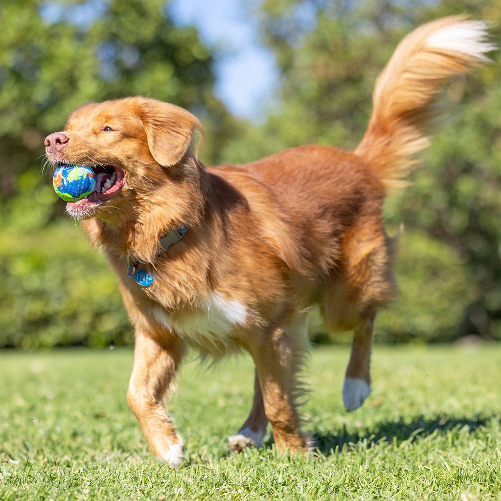 Chuckit! EcoFetch Recycled Rubber Fetch Ball Medium