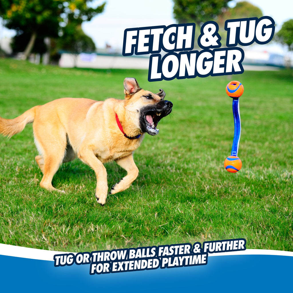 Chuckit! Ultra Duo Tug Dog Toy Med
