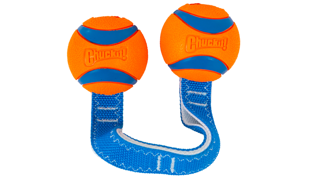 Chuckit! Ultra Duo Tug Dog Toy Med