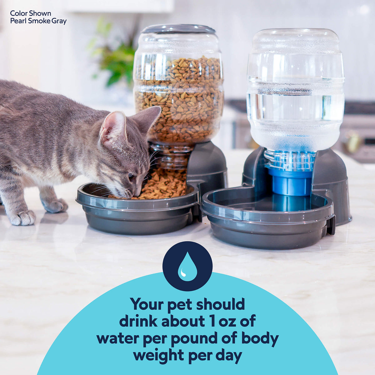 Petmate Replendish Pet Waterer With Microban