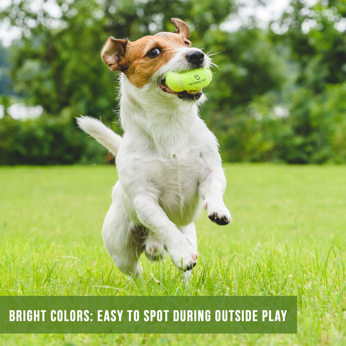 Hyper Pet Tennis Balls 4 Pack