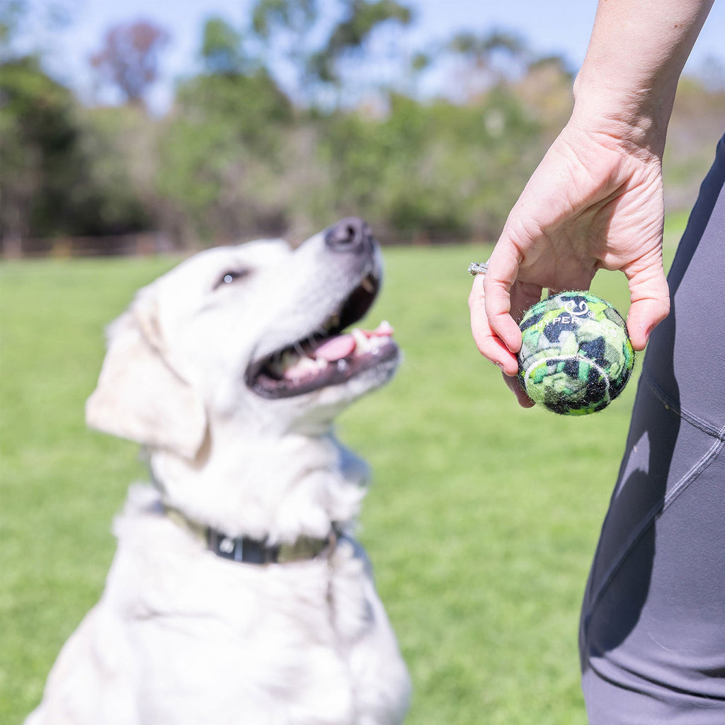 Hyper Pet Camo Tennis Ball 4 Pack