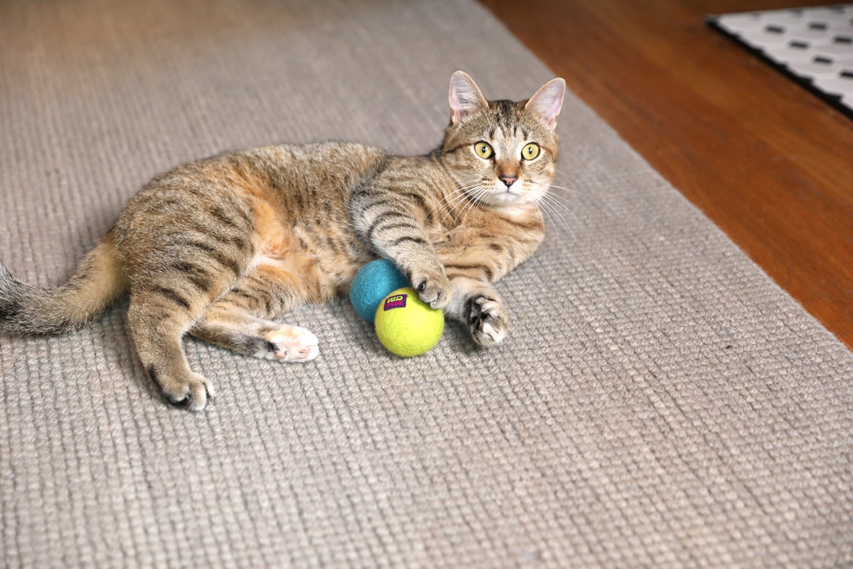 Mad Cat Wacky Wool Balls