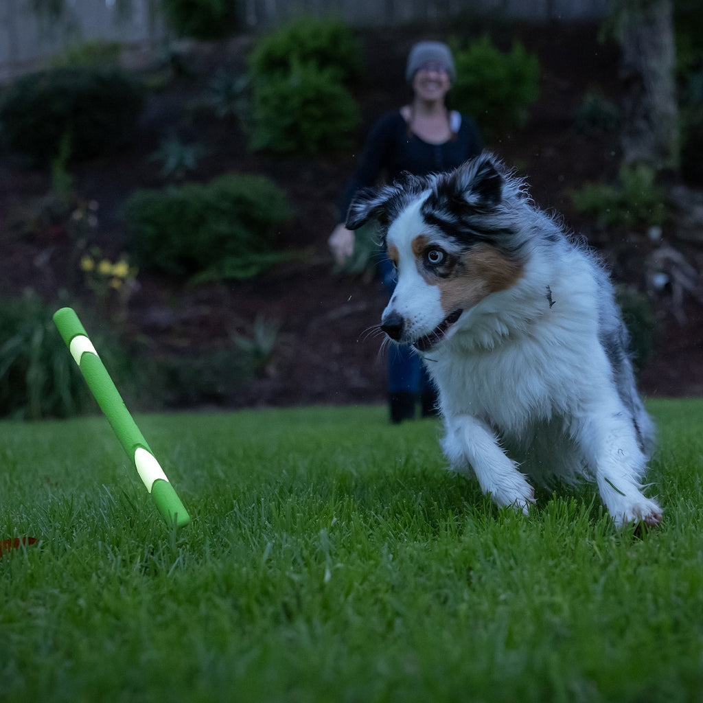 Chuckit! Day & Night Ultra Fetch Stick 2 Pack