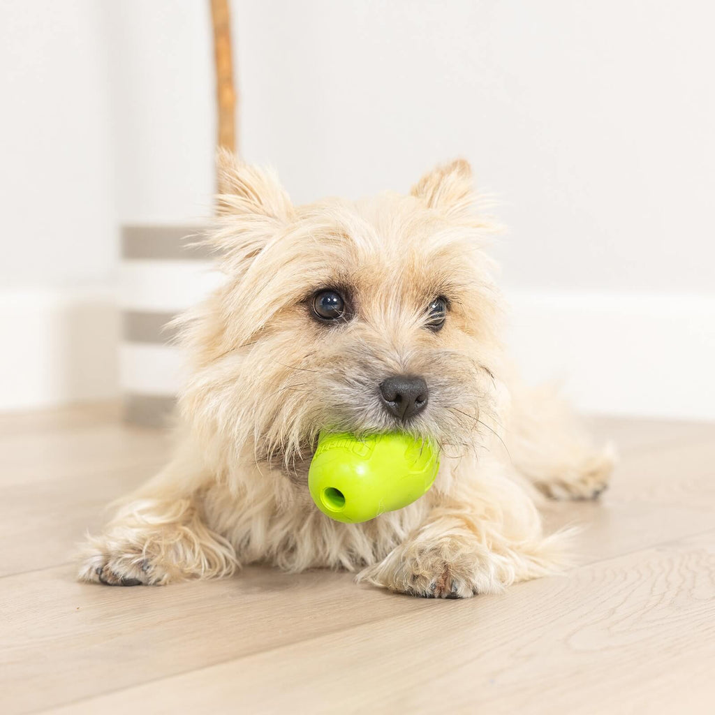 Chuckit! Tumble Teez Dog Treat Puzzle Toy