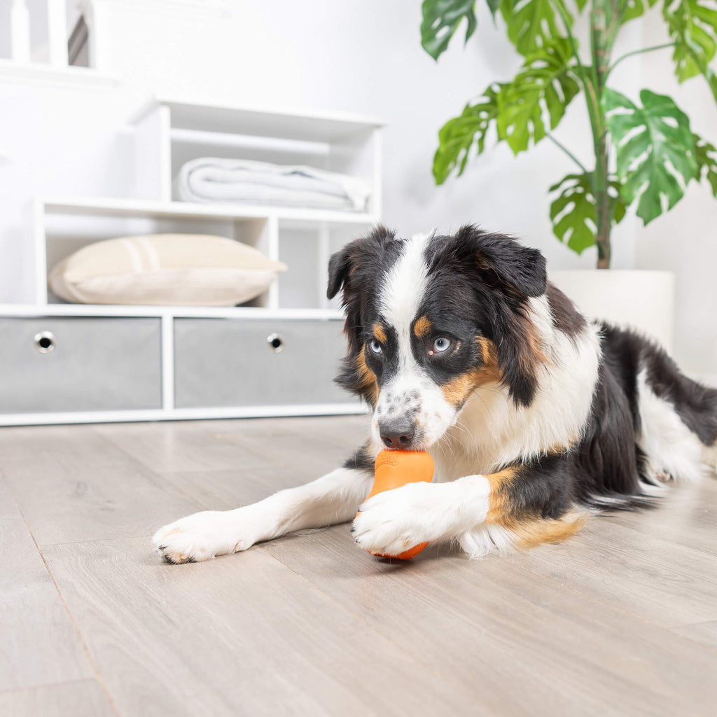 Chuckit! Tumble Teez Dog Treat Puzzle Toy