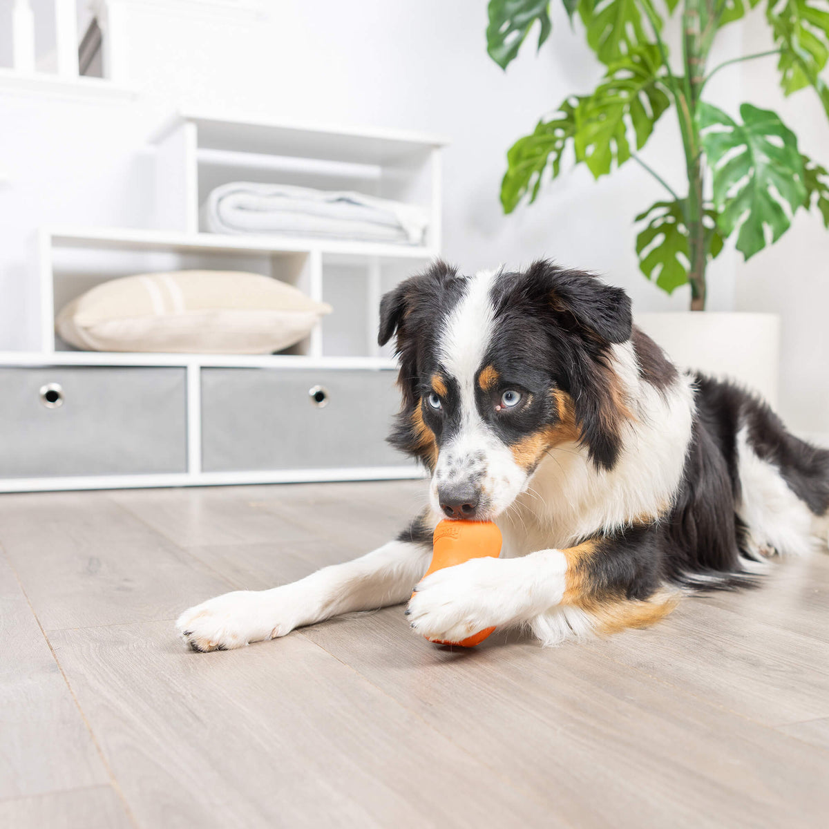 Chuckit! Tumble Teez Dog Treat Puzzle Toy