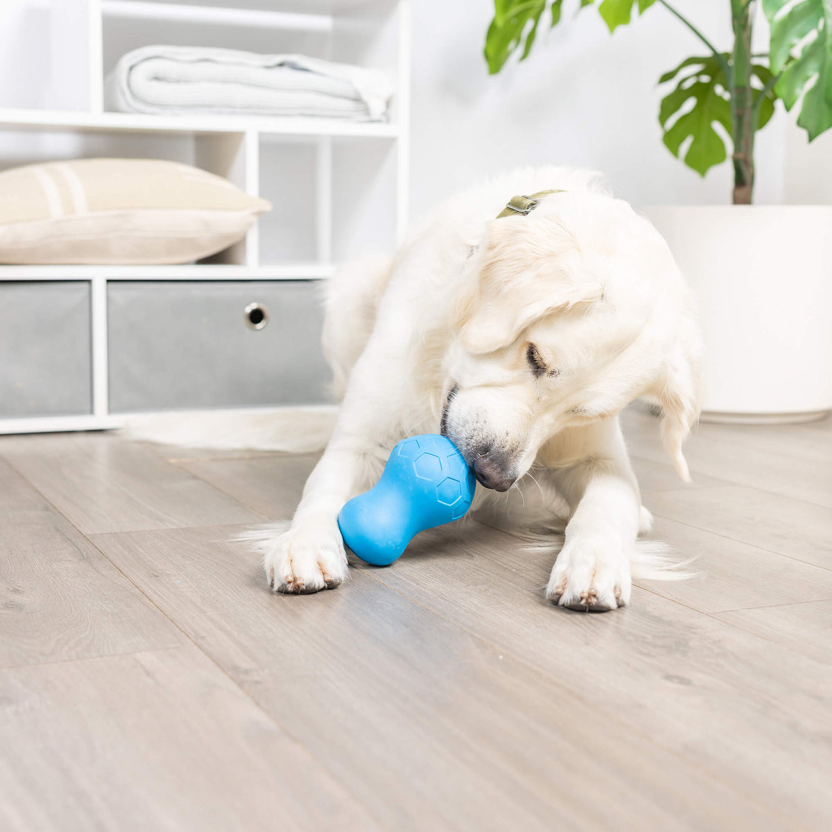 Chuckit! Tumble Teez Dog Treat Puzzle Toy