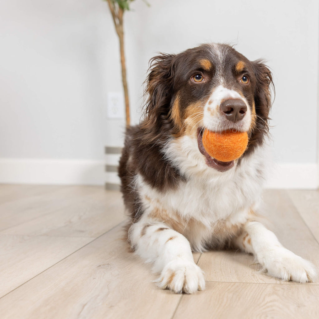 Chuckit! Wool-ee Ball
