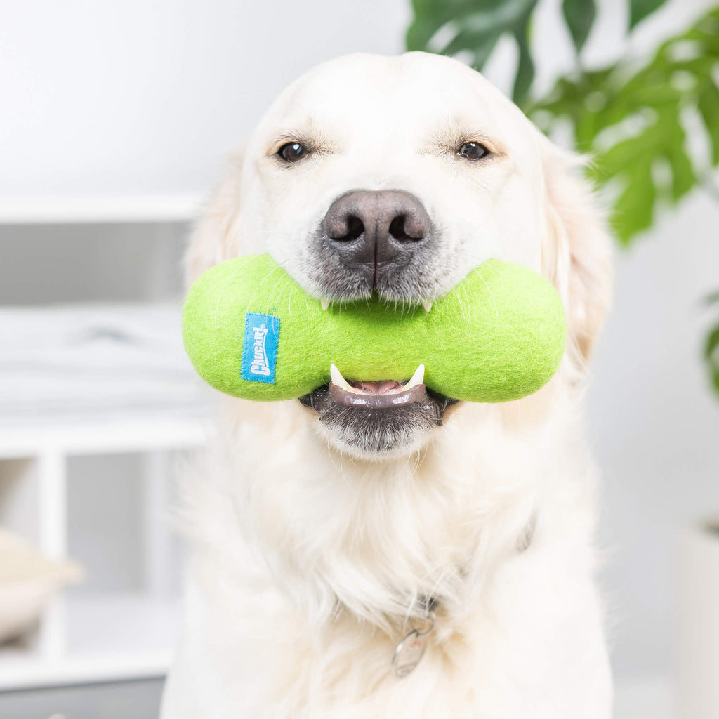 Chuckit! Wool-ee Bone