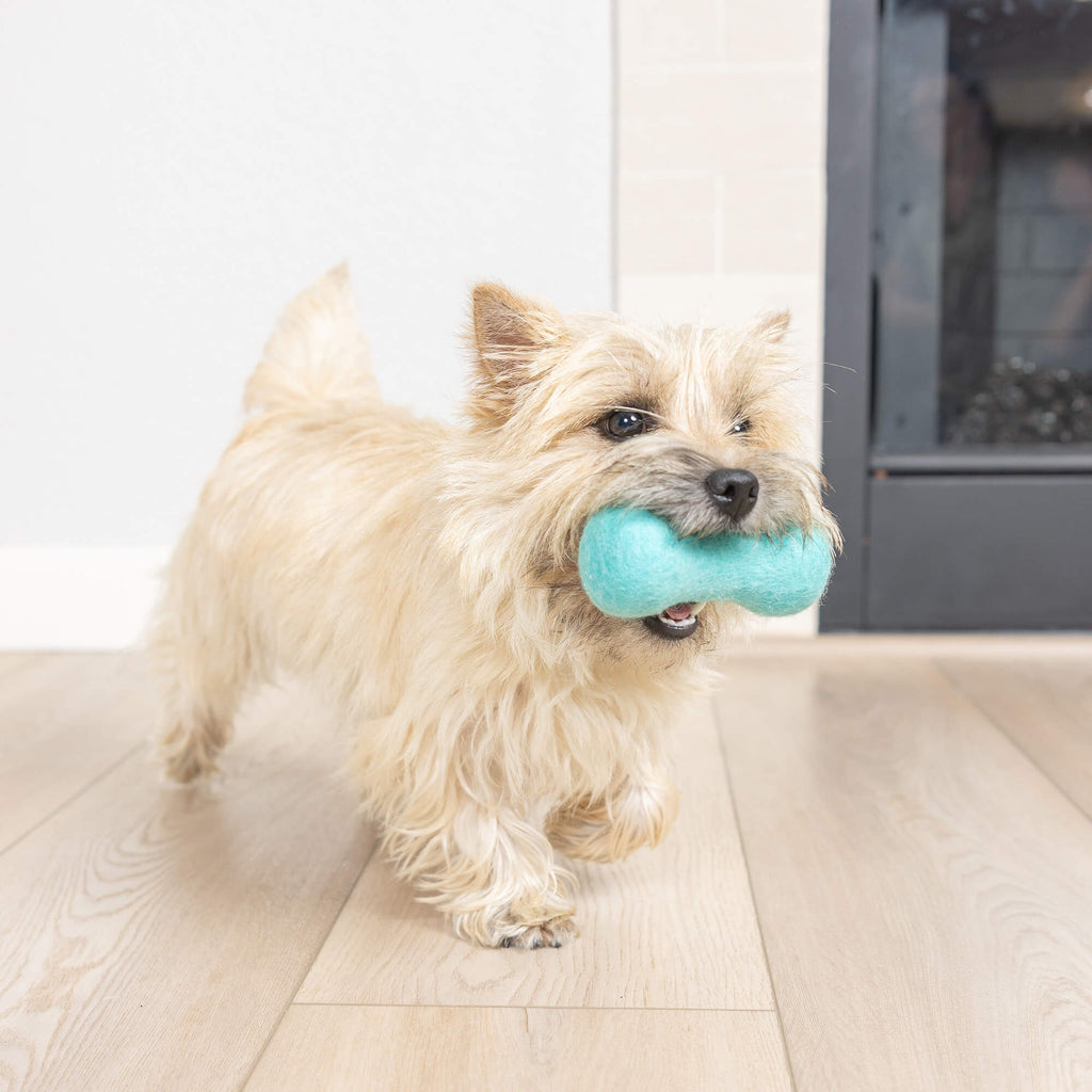 Chuckit! Wool-ee Bone