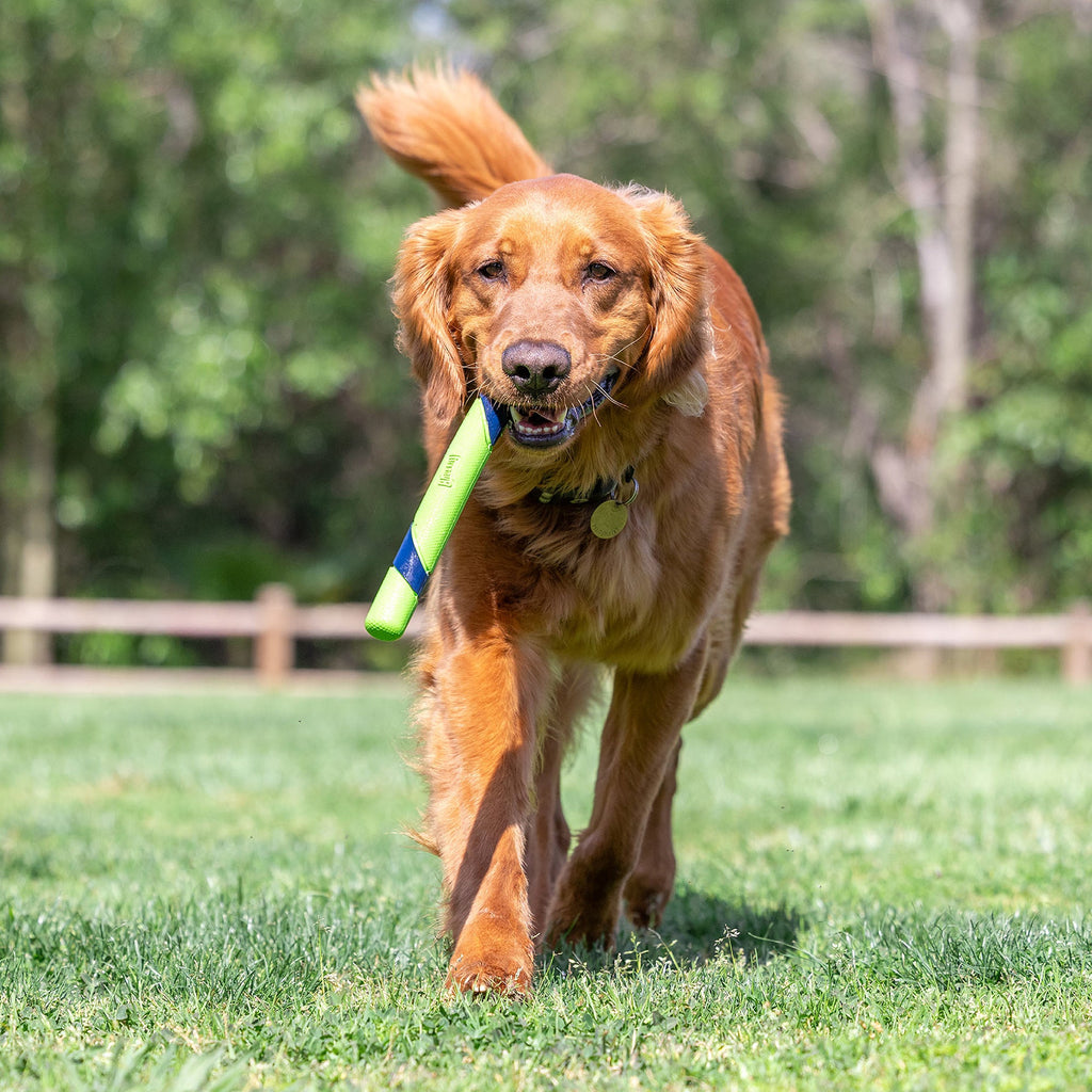 Chuckit! Sniff Fetch Stick Dog Toy
