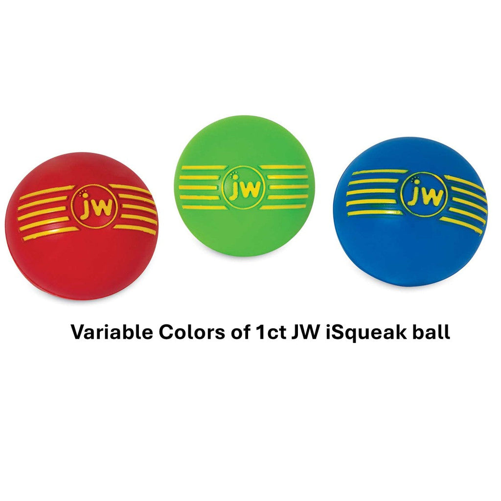 JW iSqueak Ball 1pack | Variable Colors