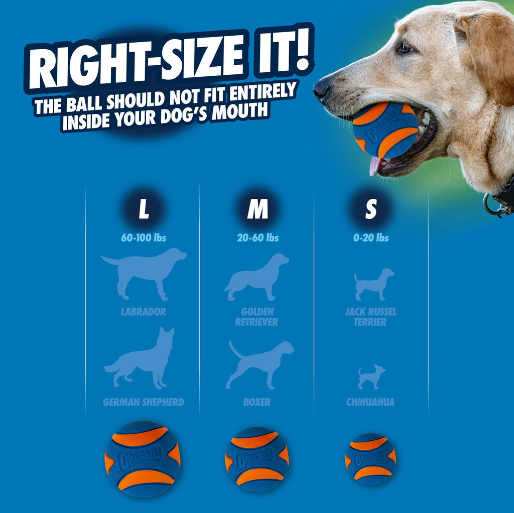 Chuckit! Fetch Medley Gen 3