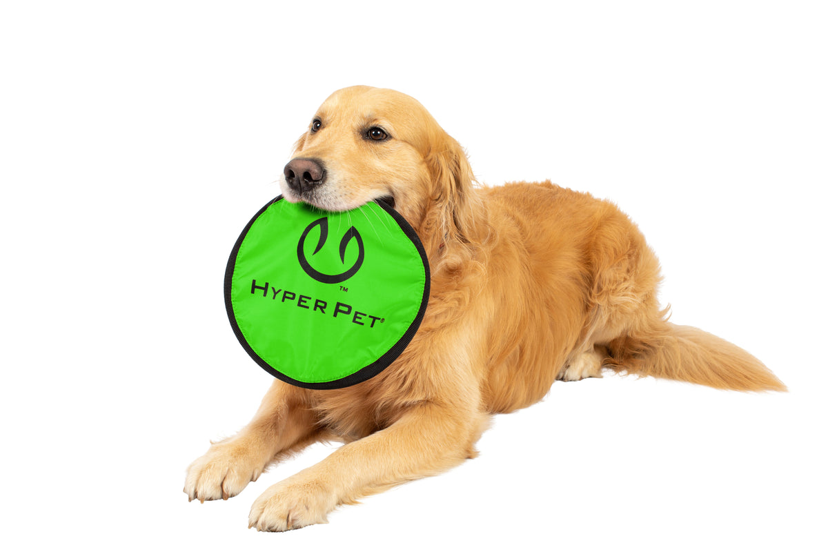 Hyper Pet Flippy Flopper 9" Flying Disc Assorted Colors