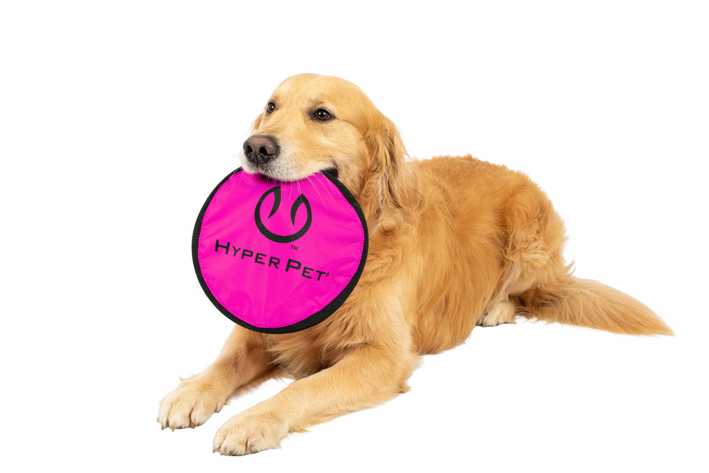 Hyper Pet Flippy Flopper 9" Flying Disc Assorted Colors