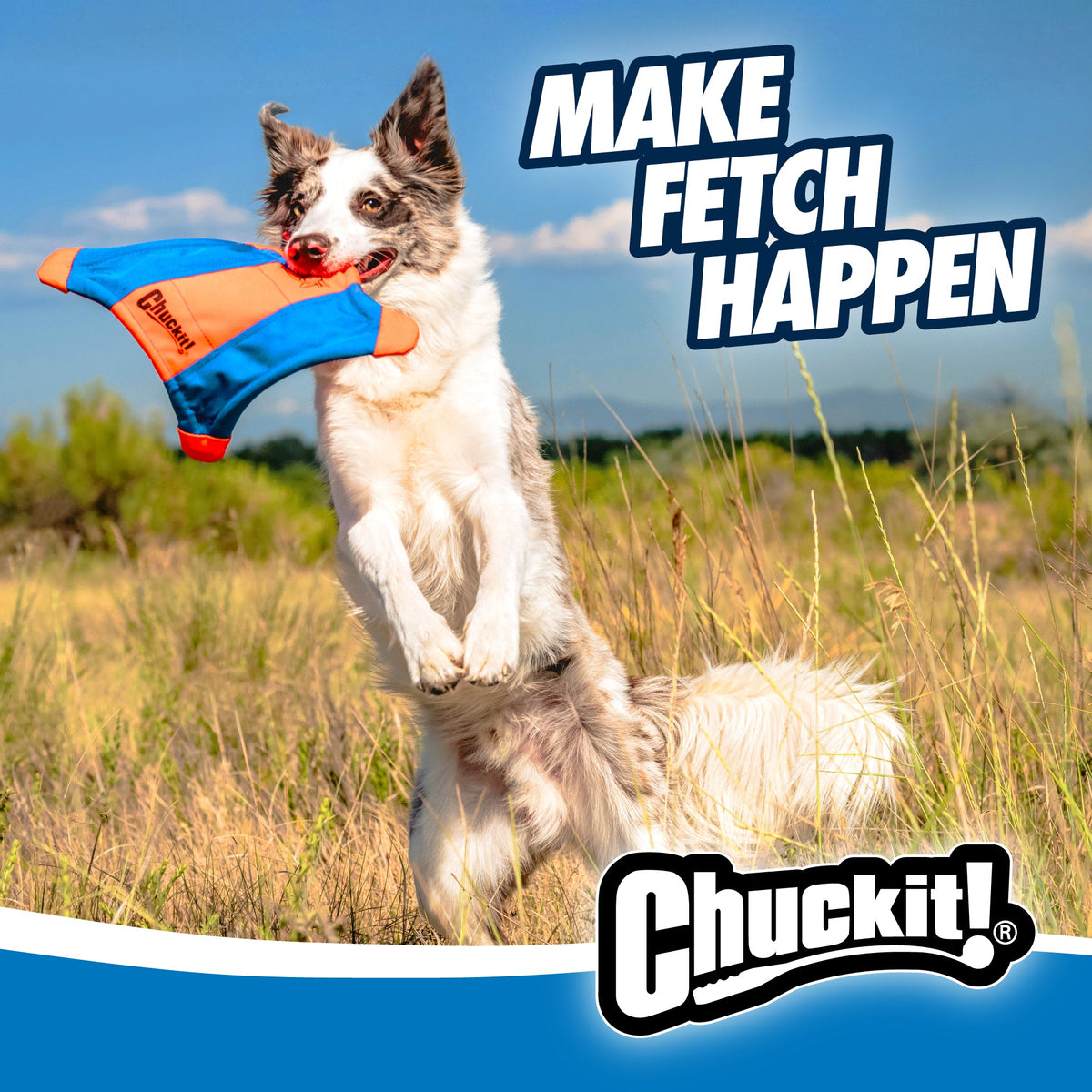 Chuckit! Flying Squirrel