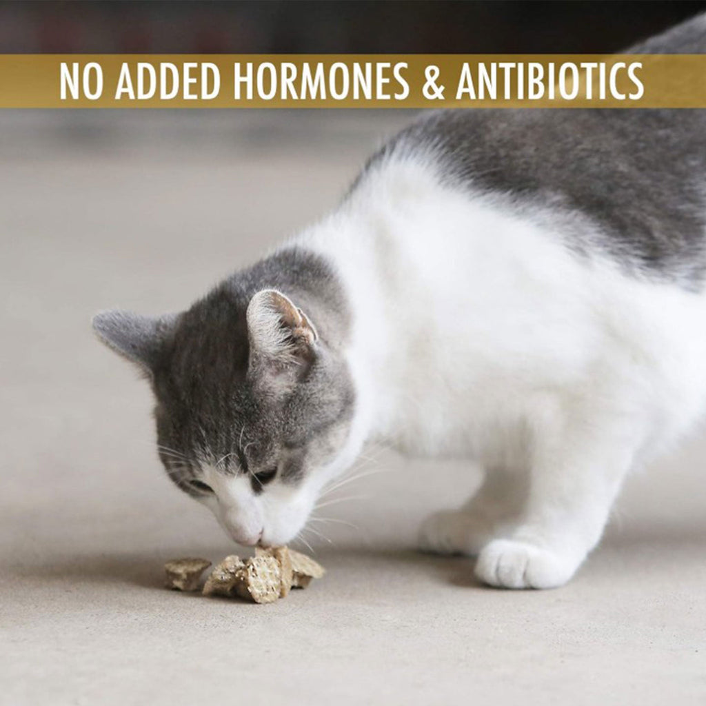 Wild Eats Cod Treats