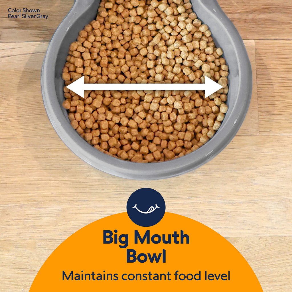 Petmate Replendish Pet Feeder With Microban