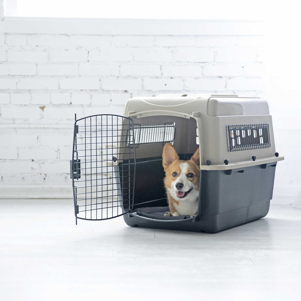 Petmate Traveler - Ultra Vari Kennel